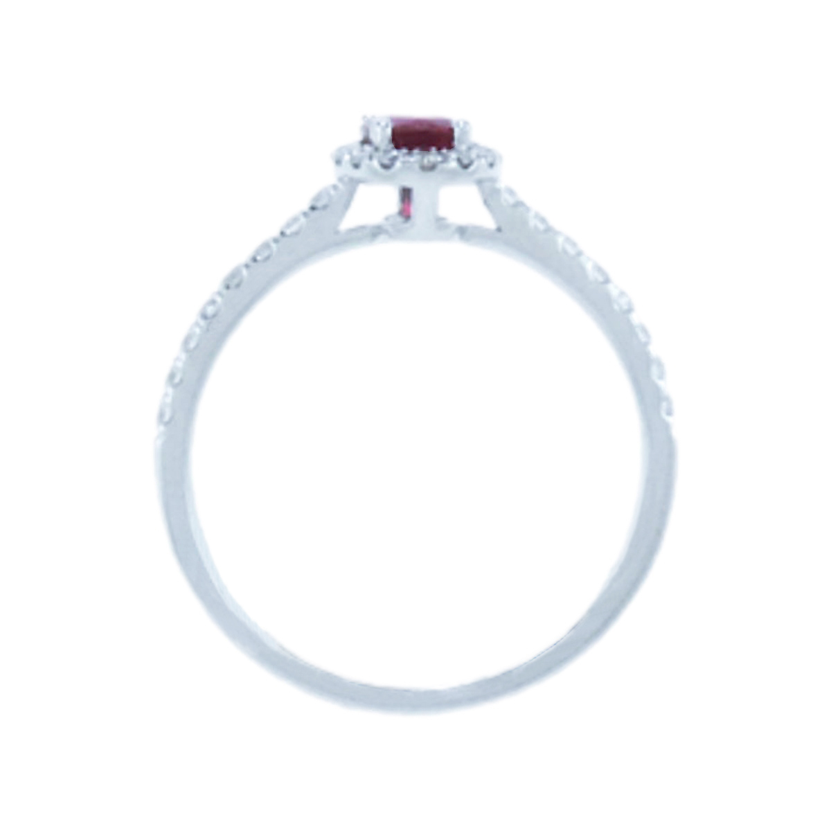 gold, ruby & diamond ring 6865-1-3_clipped_rev_1 Gold, Ruby & Diamond Halo Ring - Image 3