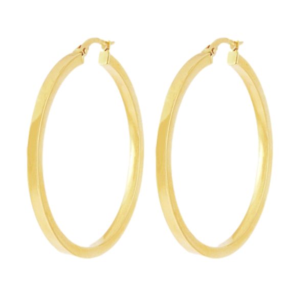 Gold Hoop Earrimgs