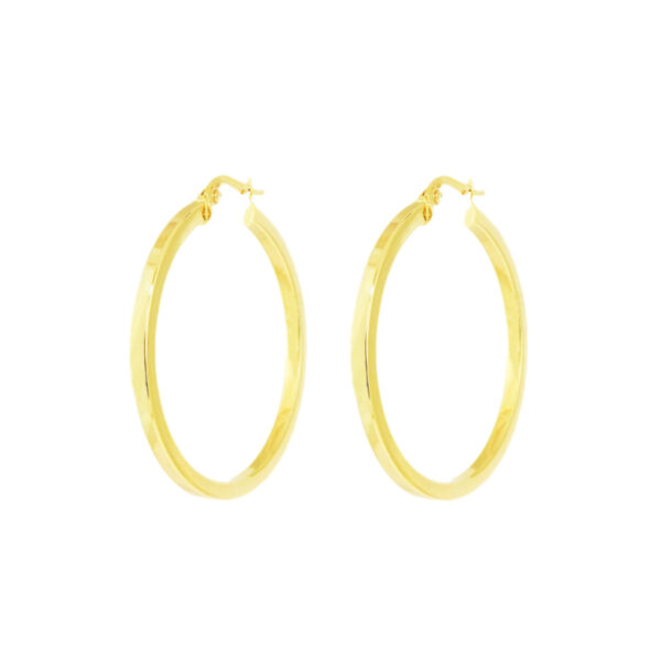 Gold Hoop Earrings