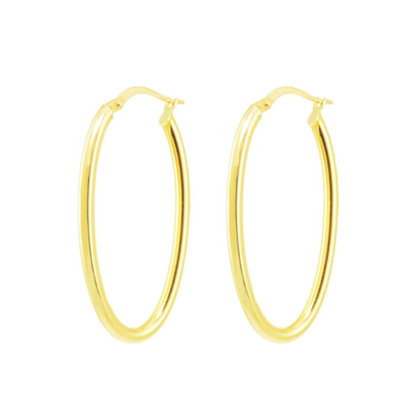 Gold Hoop Earrings